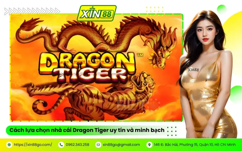 Cách lựa chọn nhà cái Dragon Tiger uy tín và minh bạch