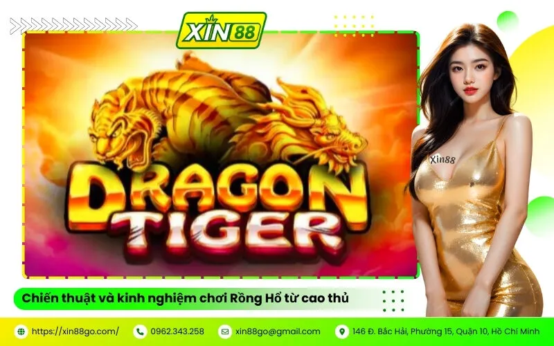 Chiến thuật và kinh nghiệm chơi Rồng Hổ từ cao thủ