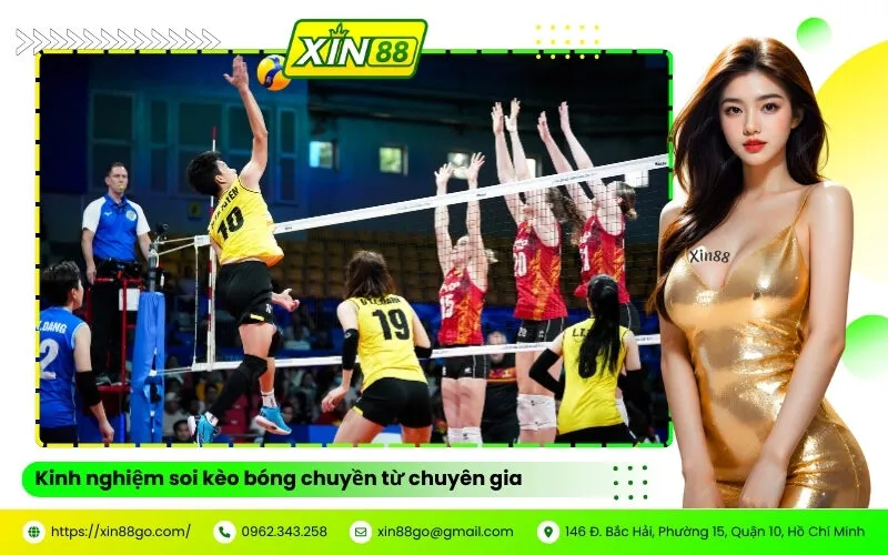 Kinh nghiệm soi kèo bóng chuyền từ chuyên gia